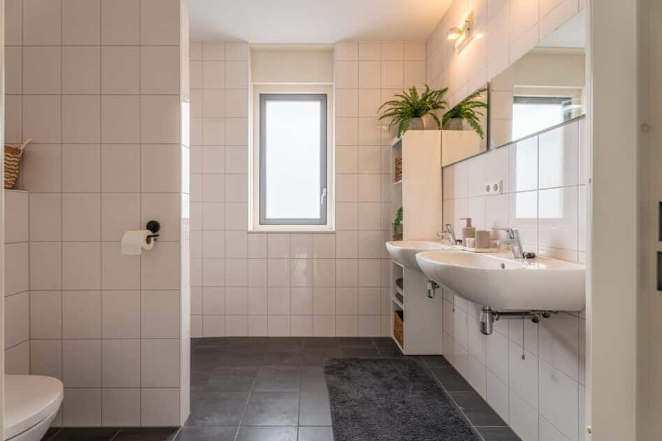 Voorhout – Buxushaag 13