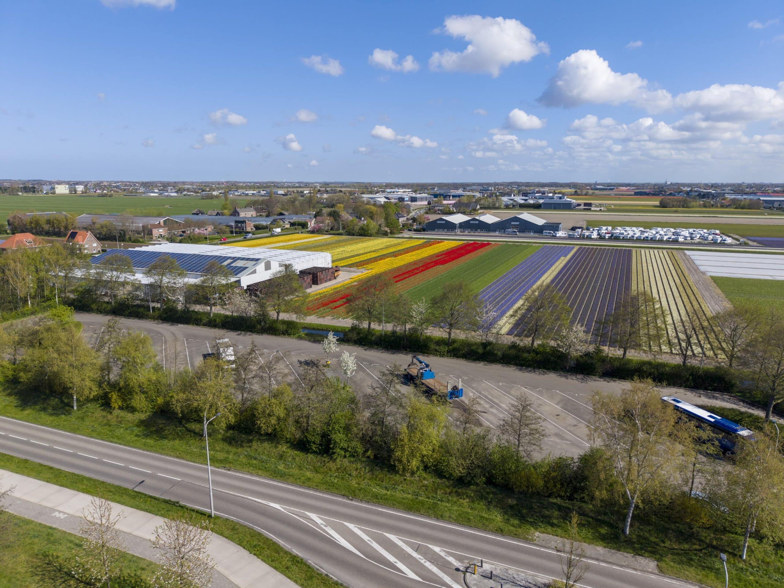 Voorhout – Buxushaag 13 Voorhout – Buxushaag 13