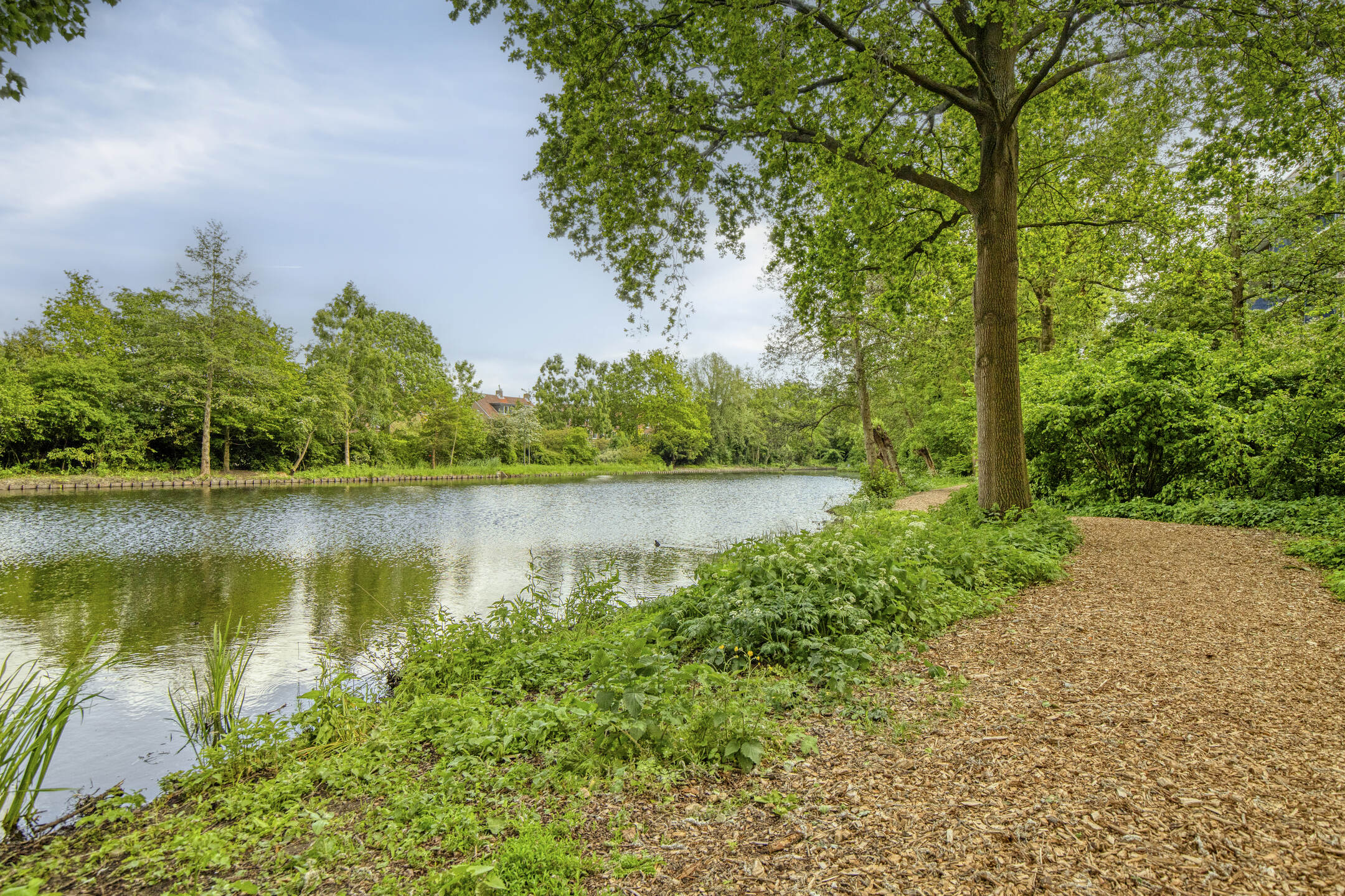 Oegstgeest – Aert van Neslaan 139 Oegstgeest – Aert van Neslaan 139