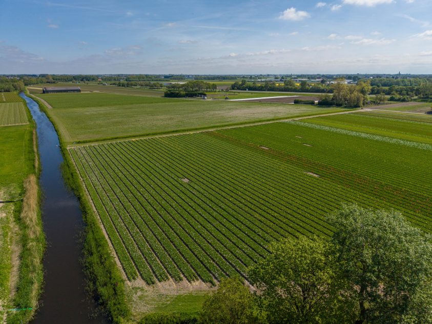 Noordwijk – Zuidbroek 67