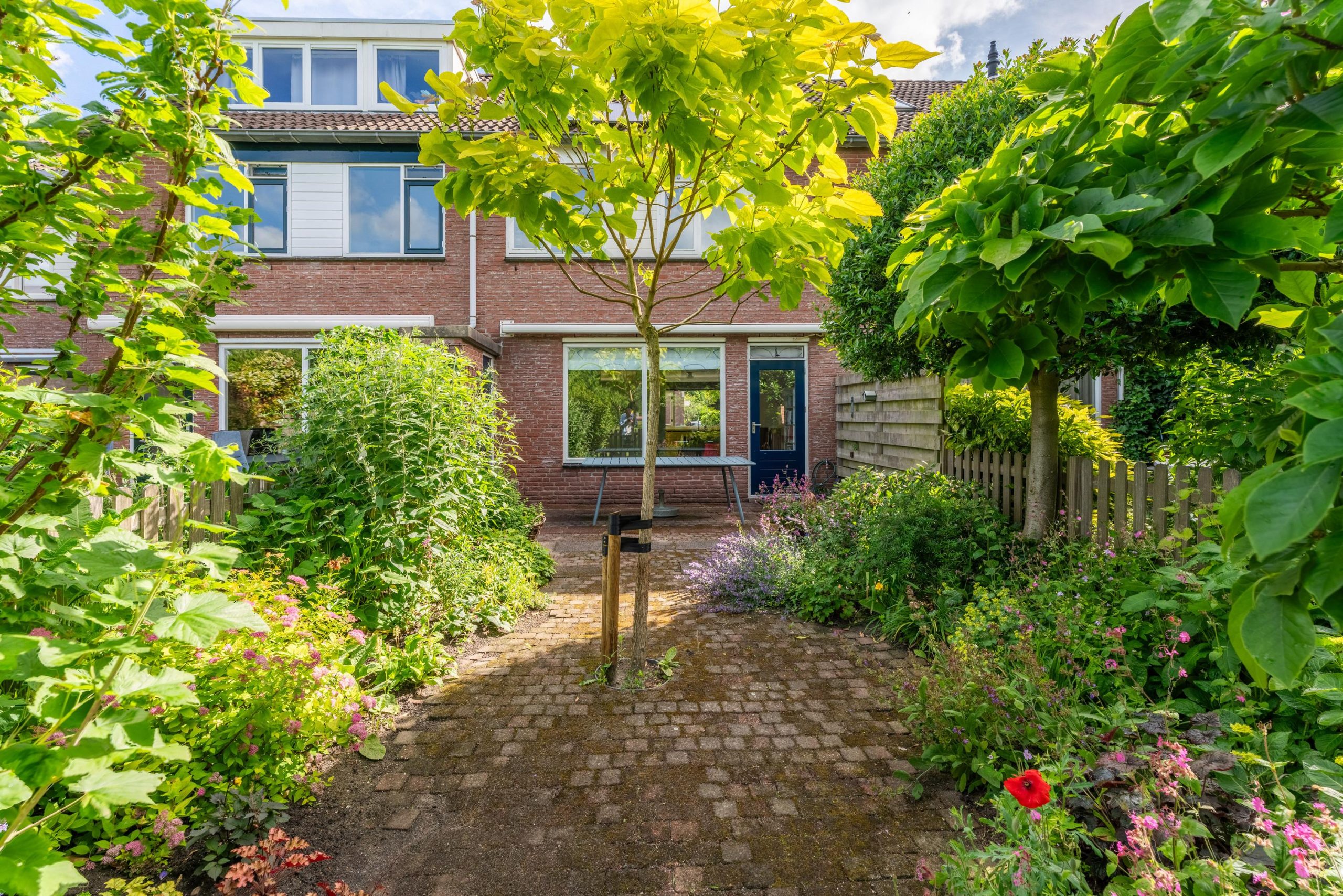 Leiden – Zalmforel 17 Leiden – Zalmforel 17