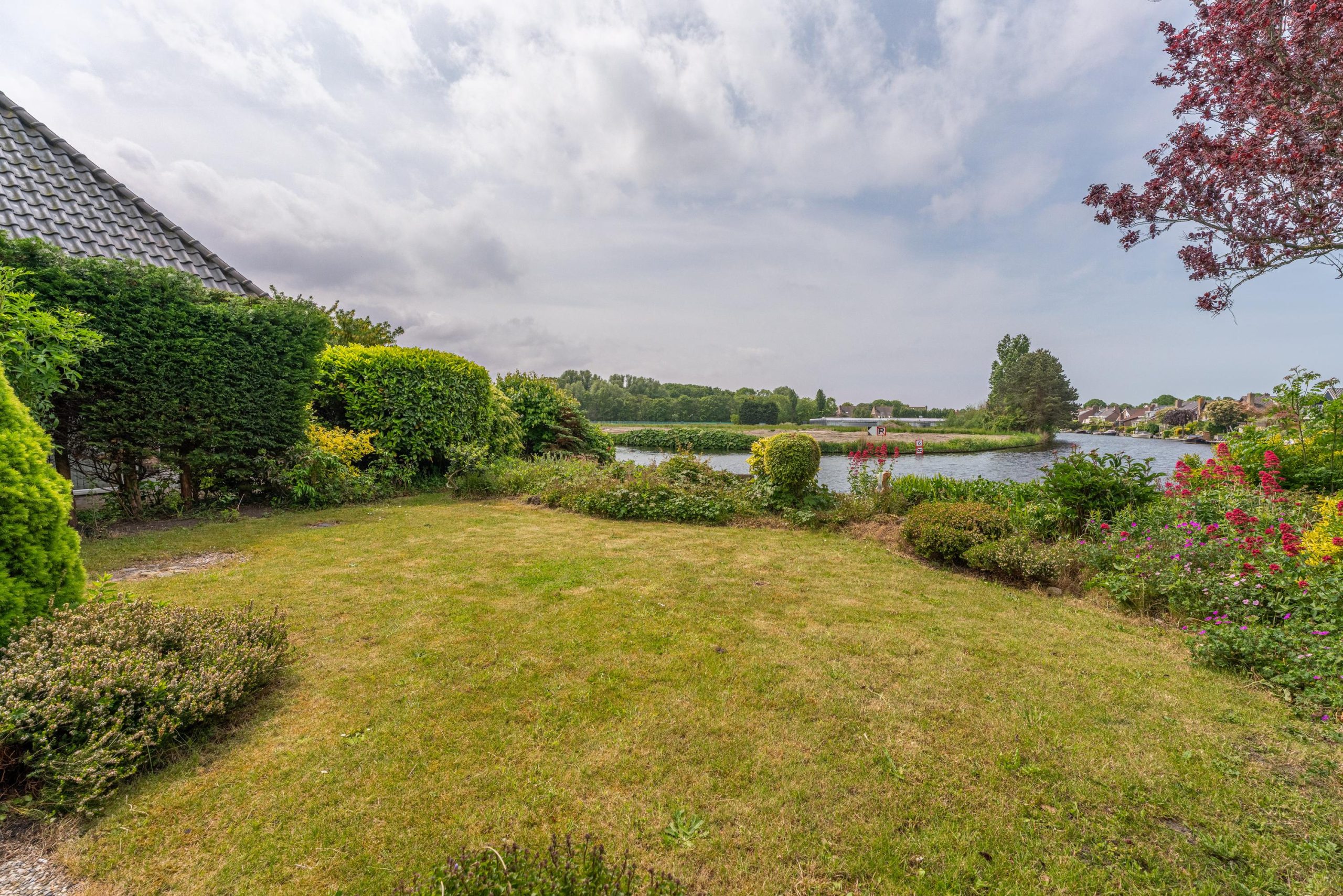 Rijnsburg – Duizendschoon 29 Rijnsburg – Duizendschoon 29