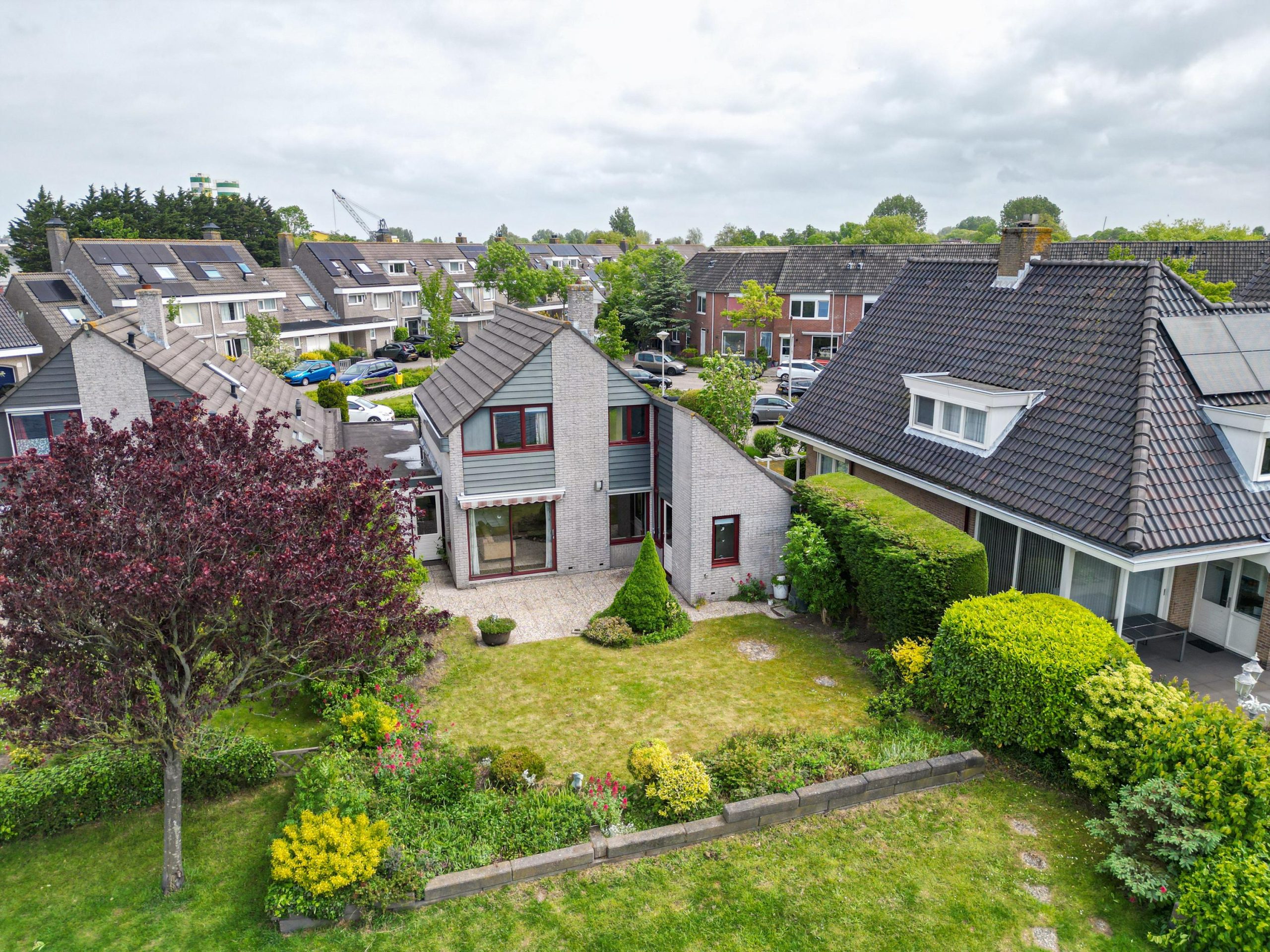 Rijnsburg – Duizendschoon 29 Rijnsburg – Duizendschoon 29