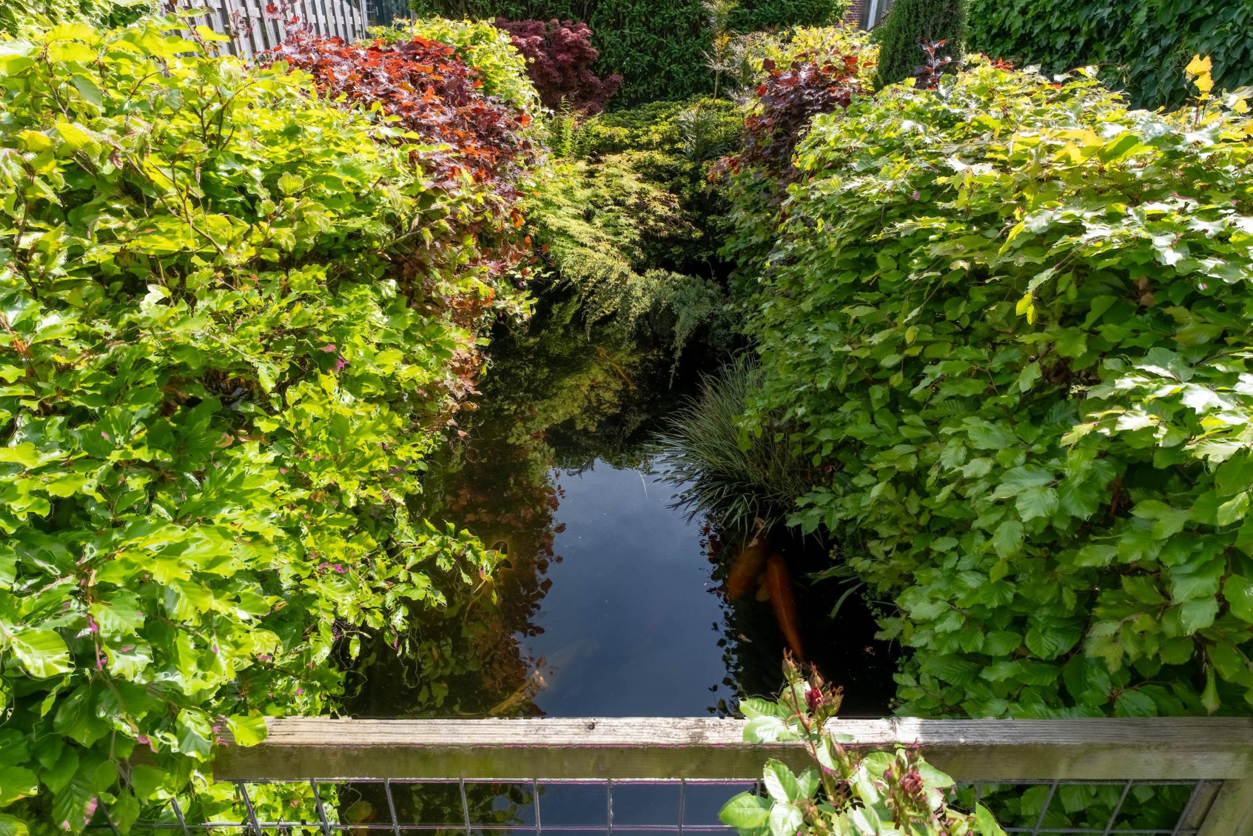 Rijnsburg – Esdoornlaan 35 Rijnsburg – Esdoornlaan 35
