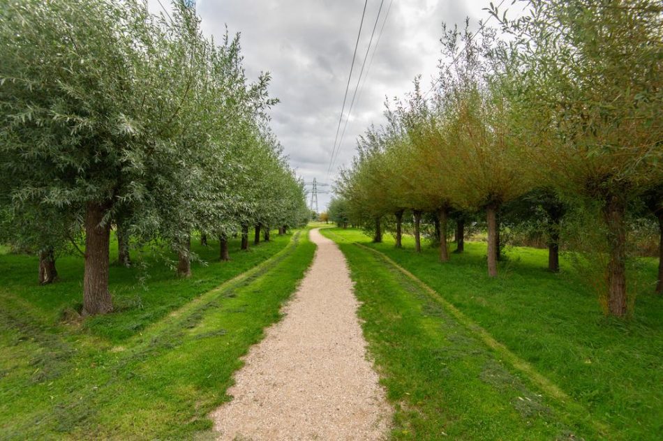 Oegstgeest – H.P. Berlagelaan 24