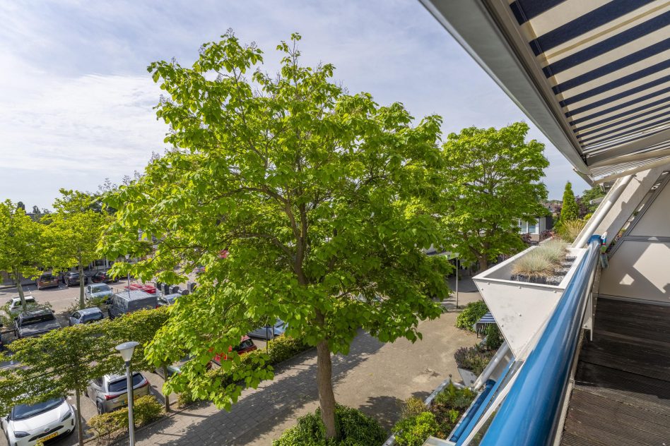 Voorhout – Balsemkruidstraat 53
