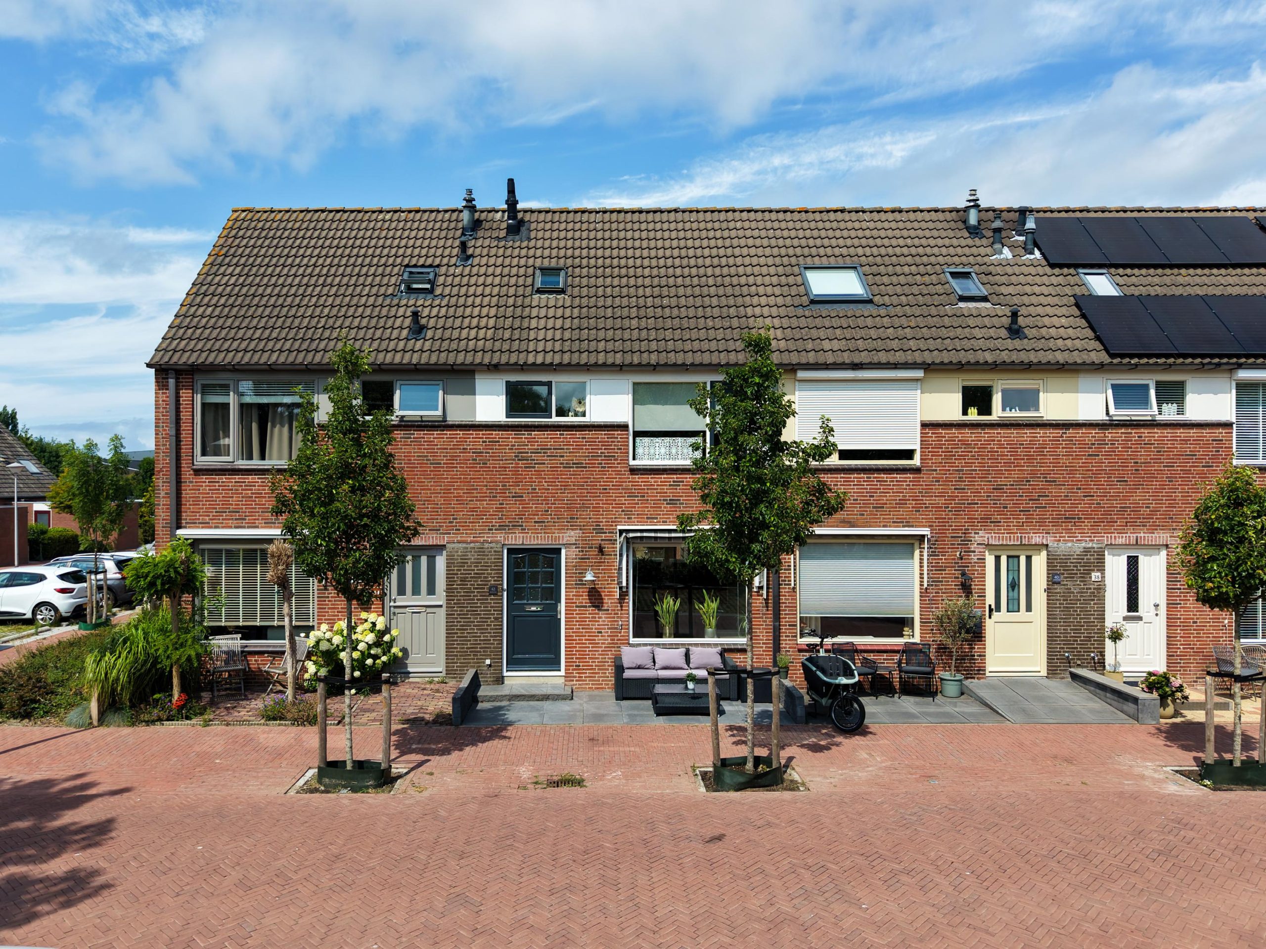 Rijnsburg – Lupine 42 Rijnsburg – Lupine 42