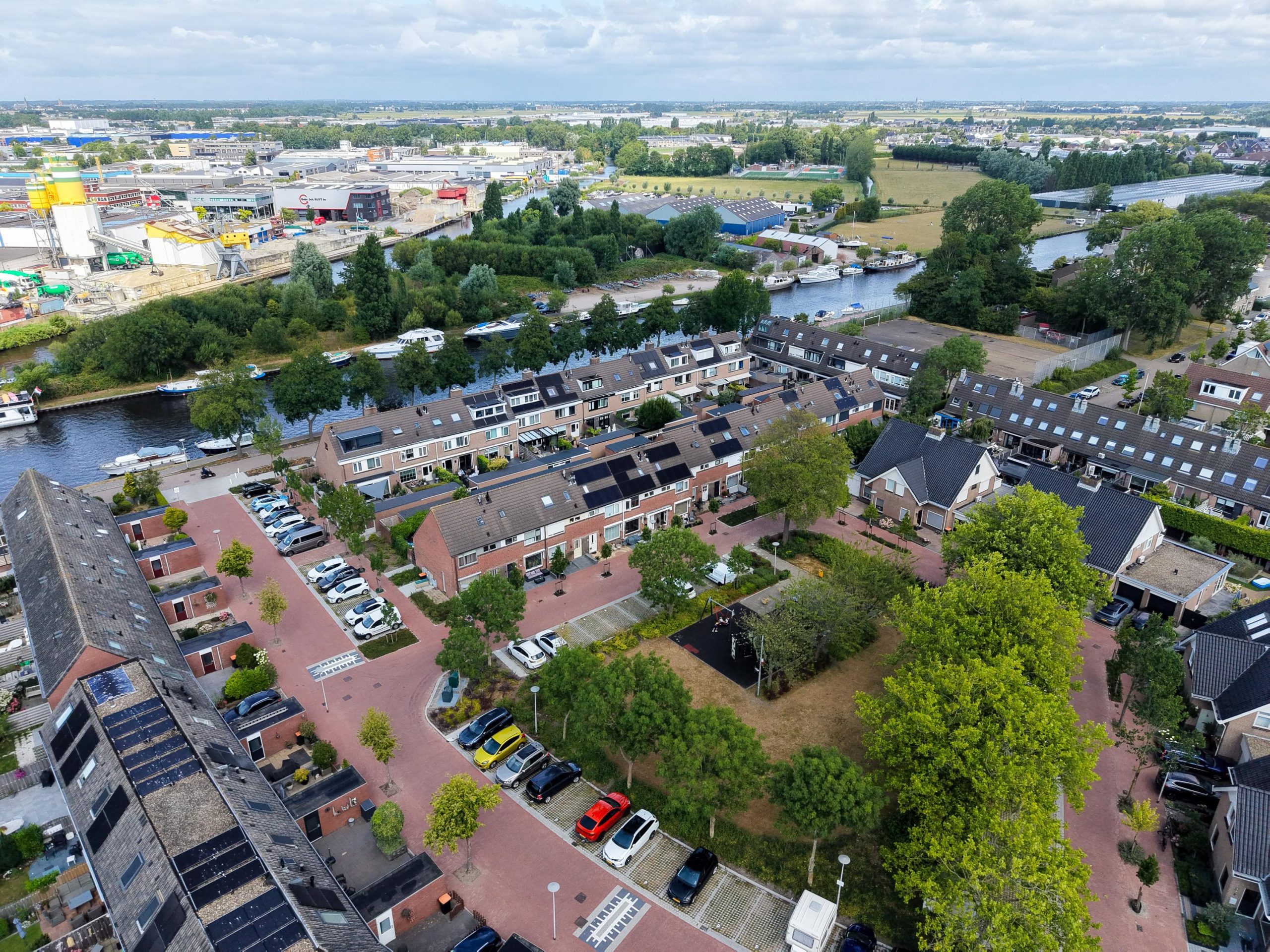 Rijnsburg – Lupine 42 Rijnsburg – Lupine 42