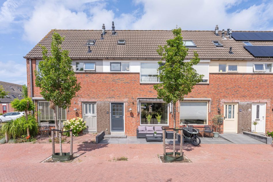 Rijnsburg – Lupine 42