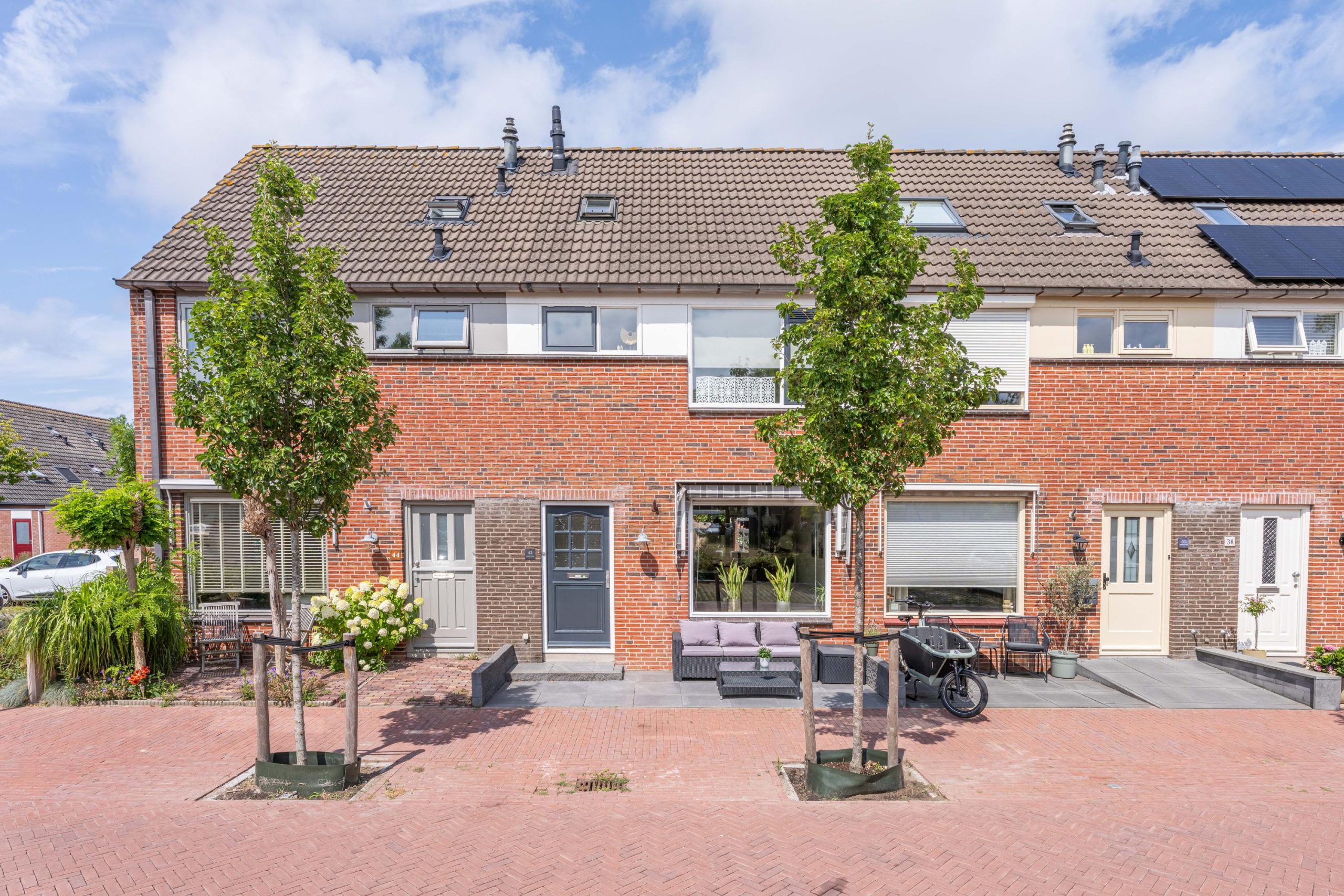 Rijnsburg – Lupine 42 Rijnsburg – Lupine 42