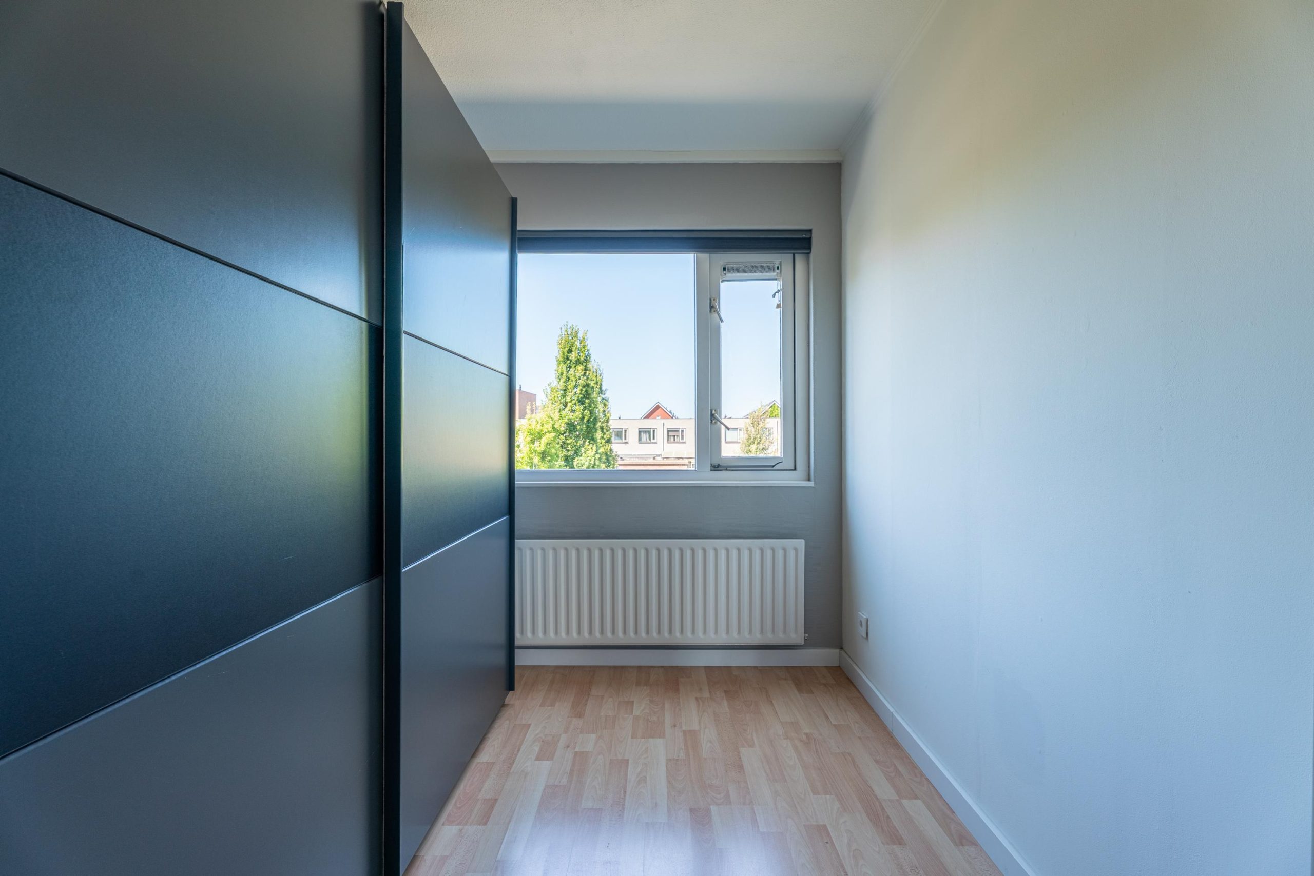 Noordwijkerhout – Pioen 15 Noordwijkerhout – Pioen 15