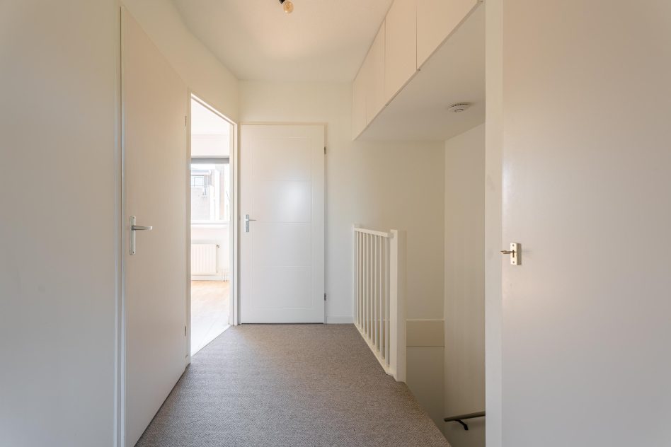 Noordwijkerhout – Pioen 15