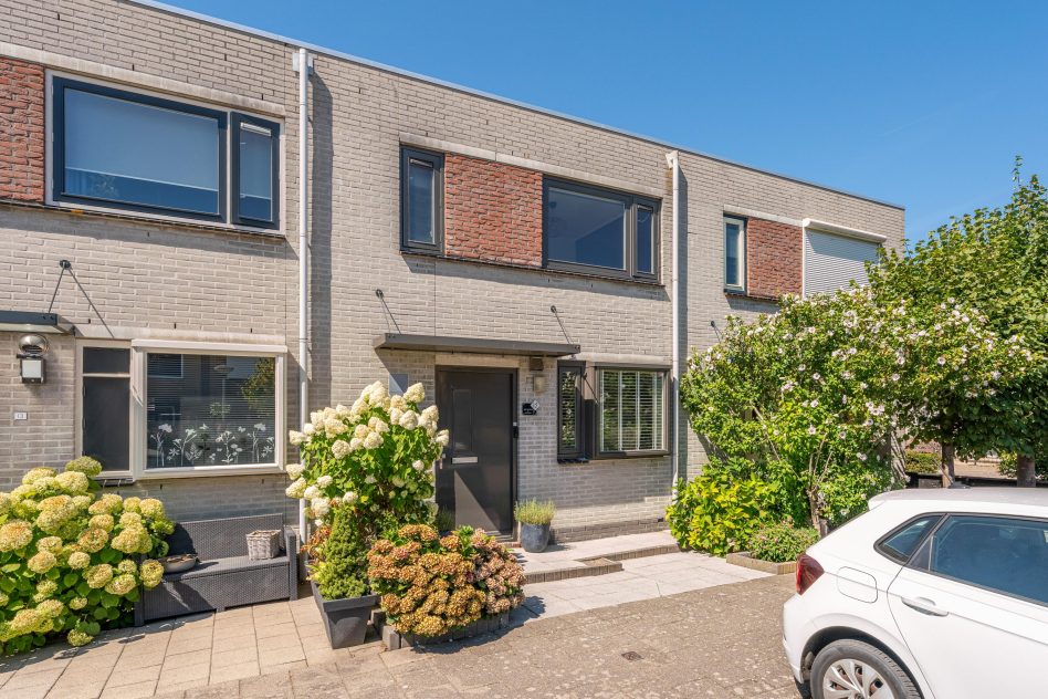 Noordwijkerhout – Pioen 15