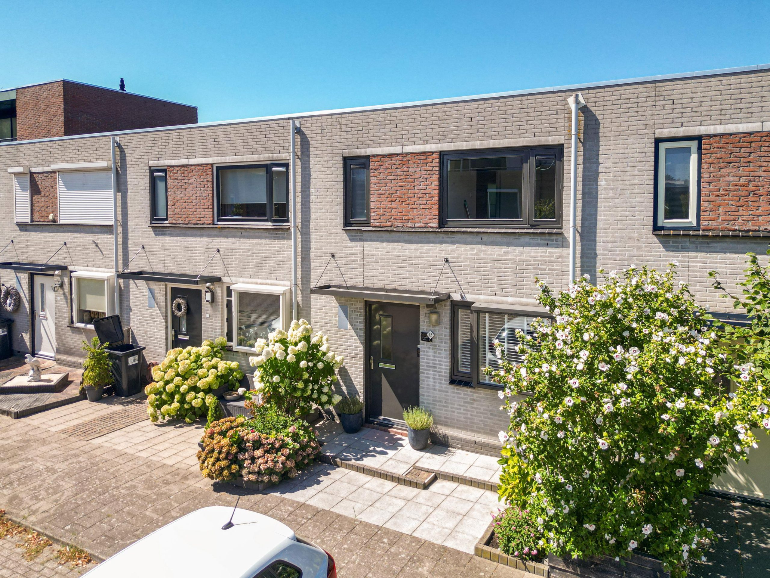 Noordwijkerhout – Pioen 15 Noordwijkerhout – Pioen 15