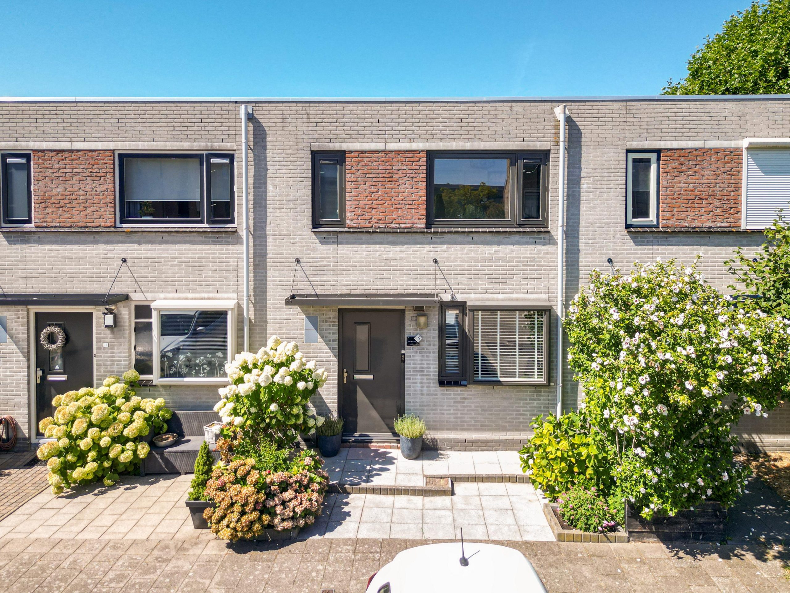 Noordwijkerhout – Pioen 15 Noordwijkerhout – Pioen 15