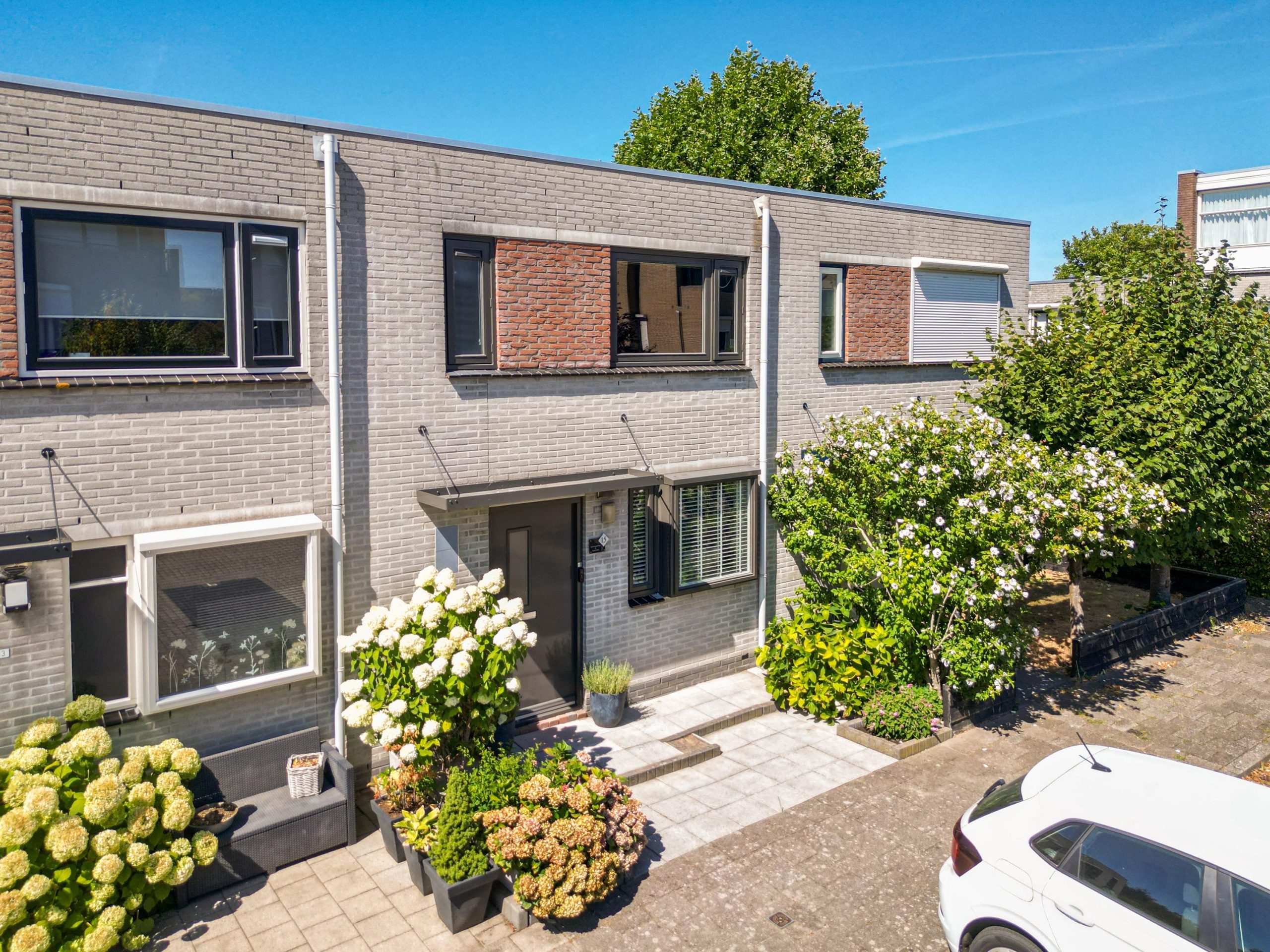 Noordwijkerhout – Pioen 15 Noordwijkerhout – Pioen 15