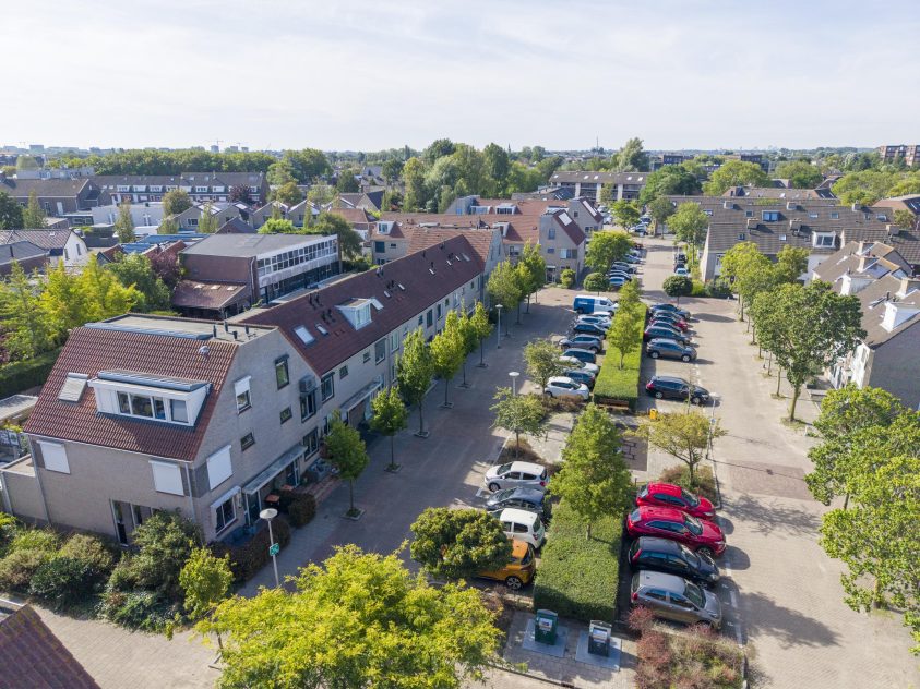 Rijnsburg – Kamperfoelie 18