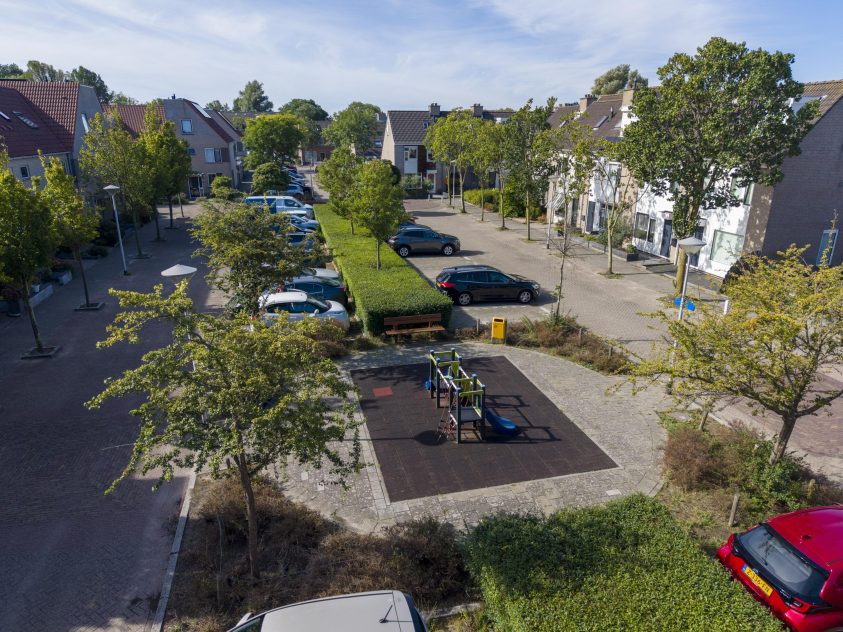 Rijnsburg – Kamperfoelie 18