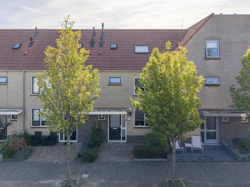 Rijnsburg – Kamperfoelie 18