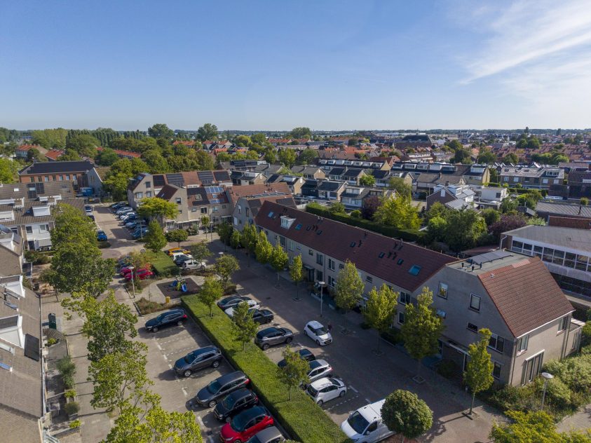 Rijnsburg – Kamperfoelie 18