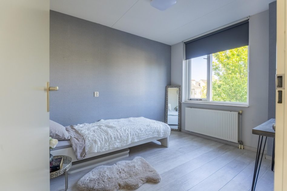 Rijnsburg – Kamperfoelie 18