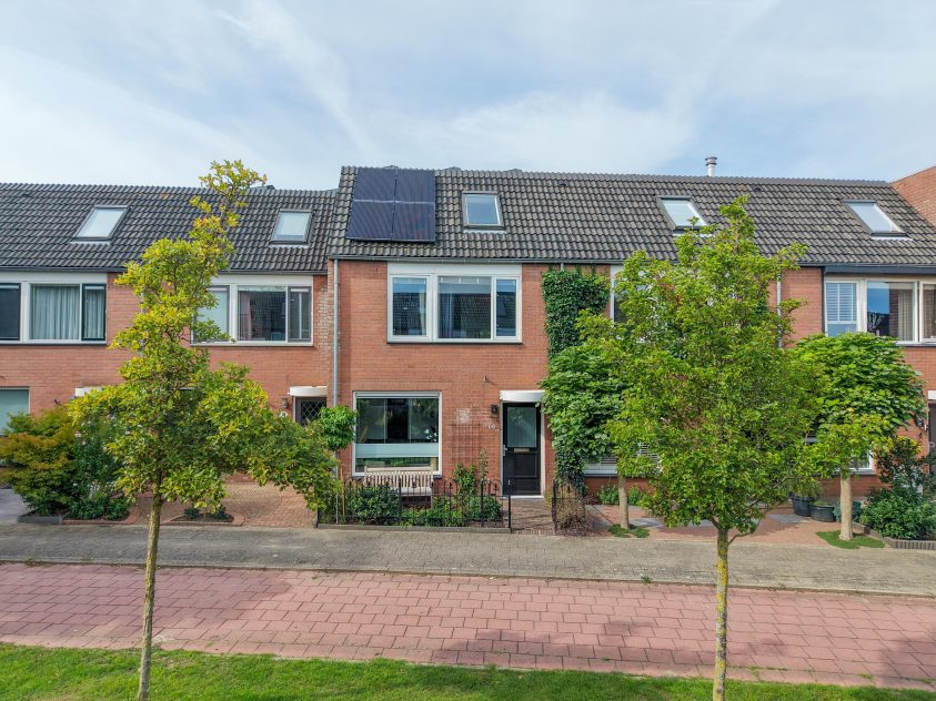 Rijnsburg – Paardebloem 14