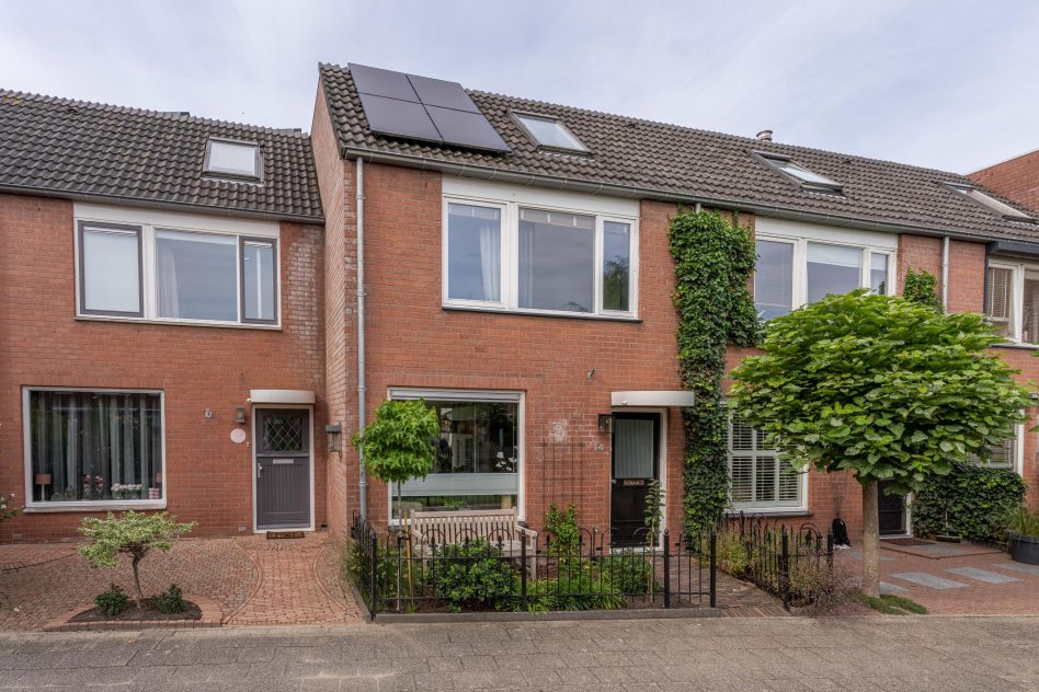 Rijnsburg – Paardebloem 14