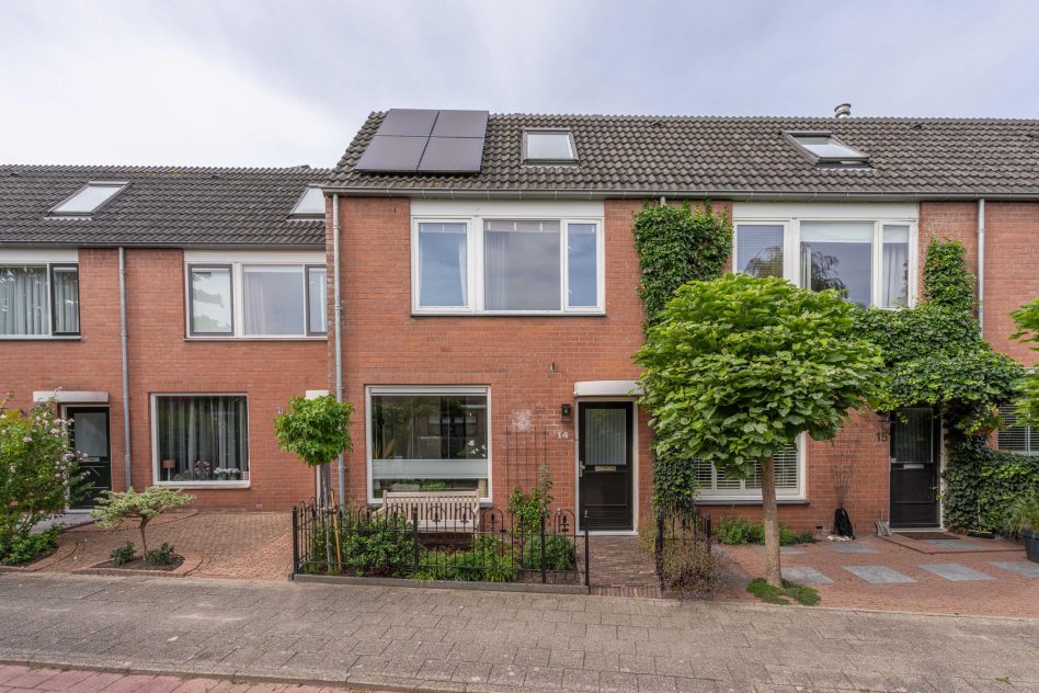 Rijnsburg – Paardebloem 14
