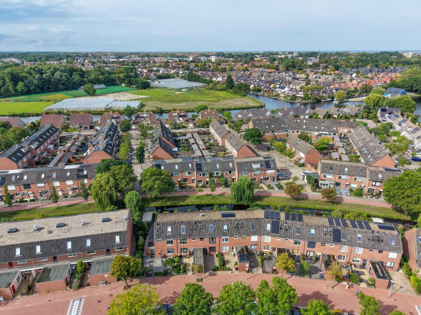 Rijnsburg – Paardebloem 14