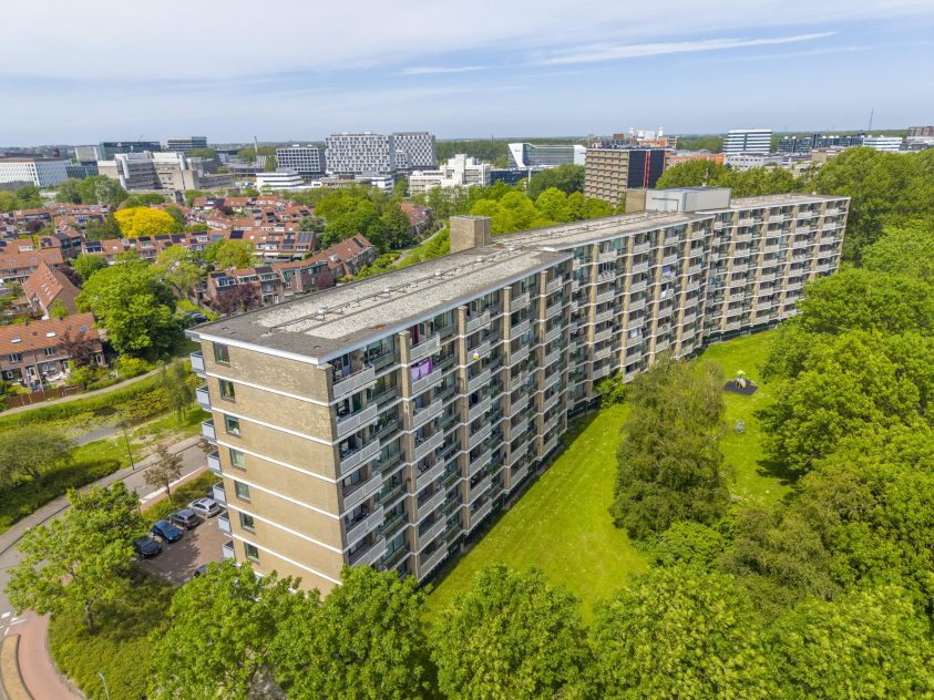Leiden – Cruquiuslaan 45