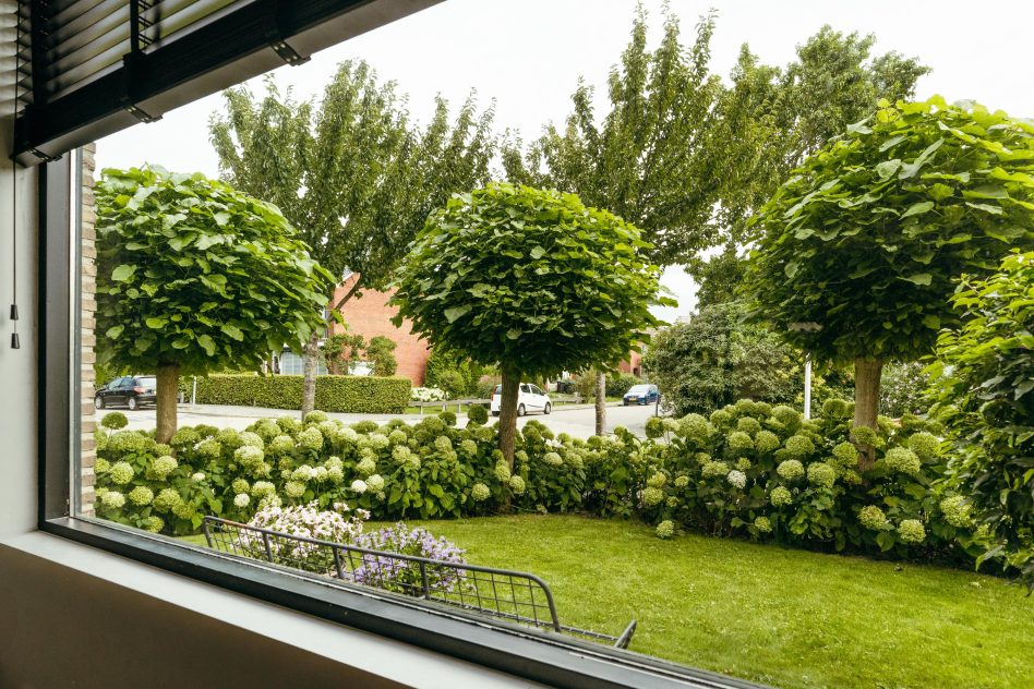 Lisse – Barentszstraat 44