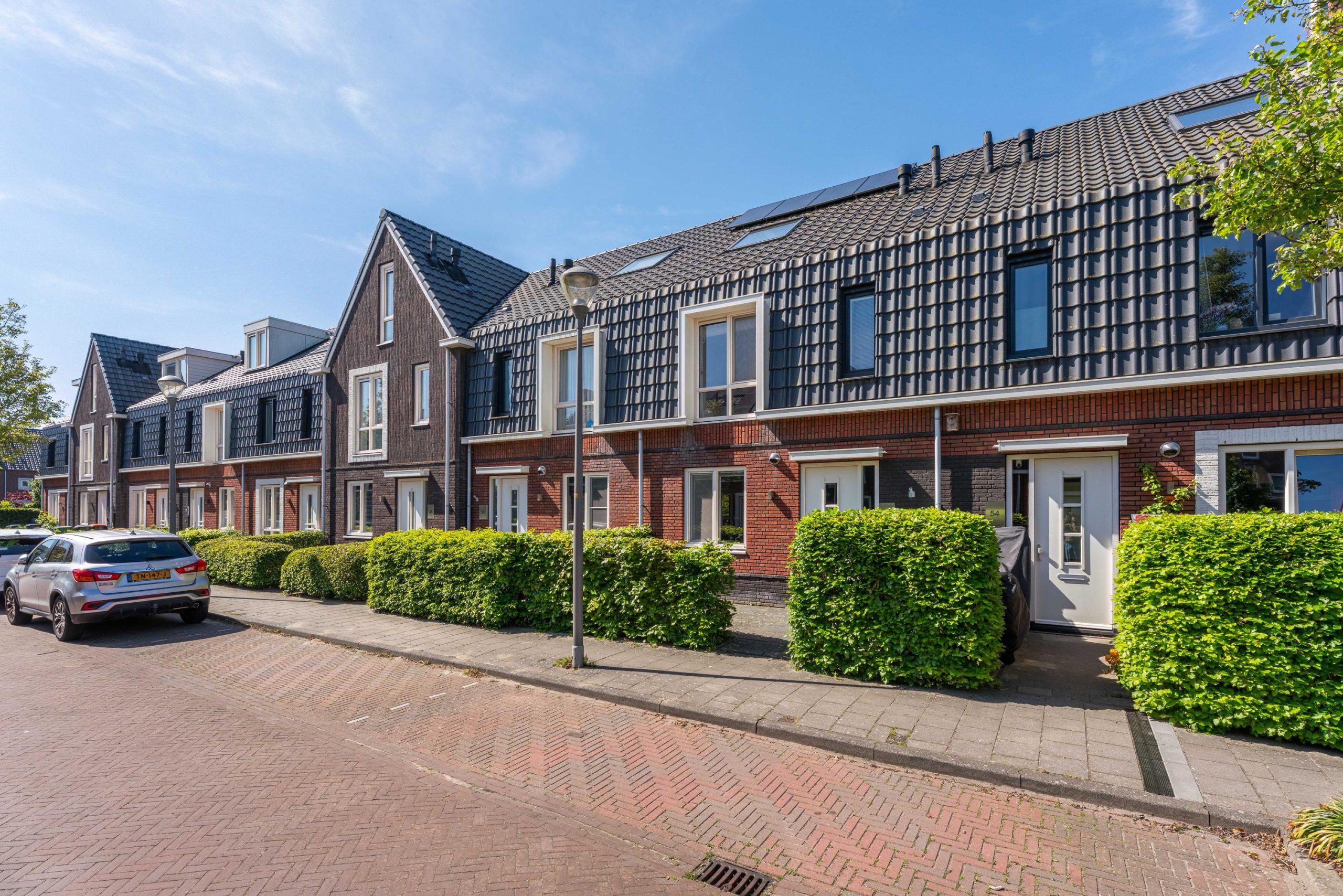 Voorhout – Narcis 52 Voorhout – Narcis 52