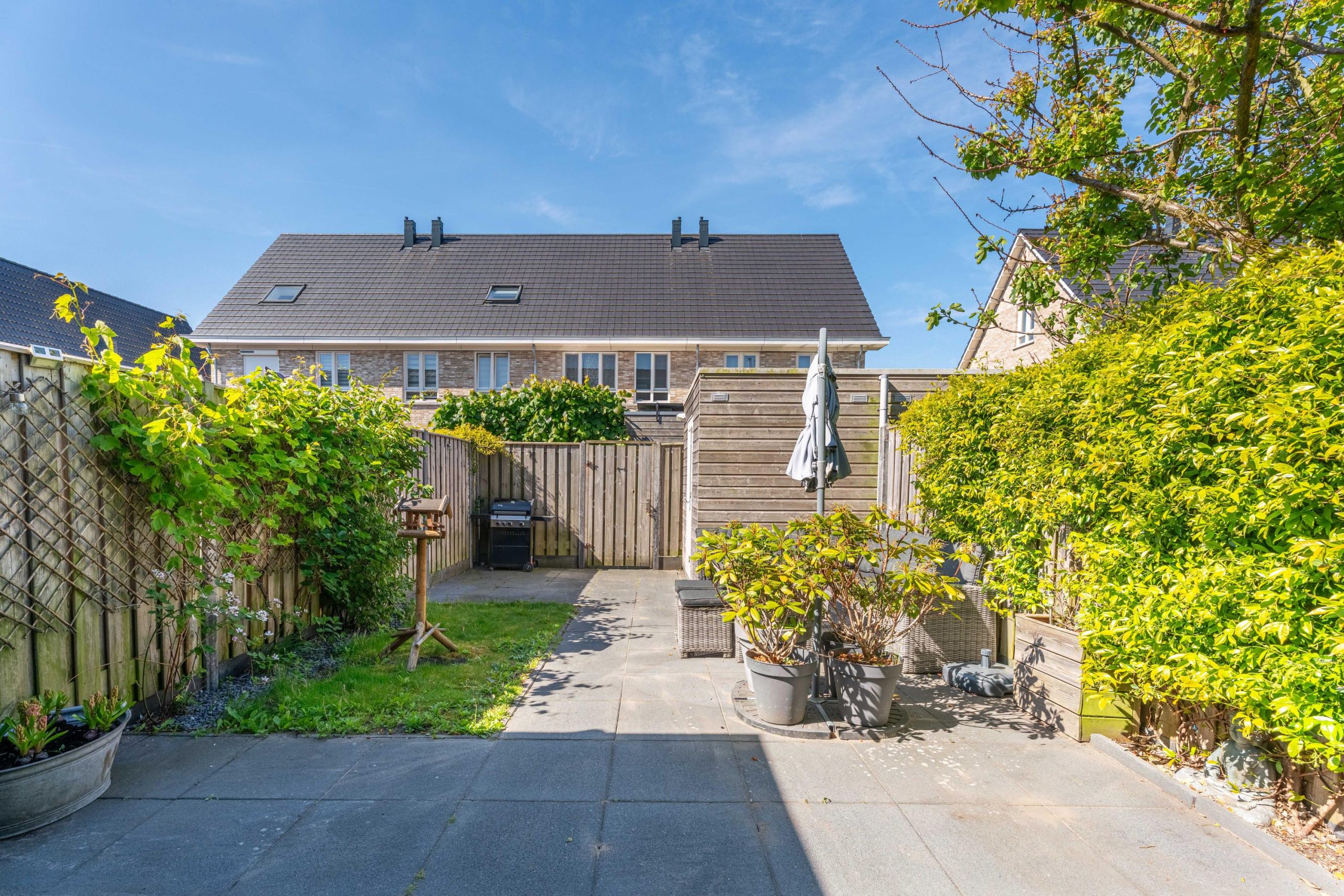 Voorhout – Narcis 52 Voorhout – Narcis 52