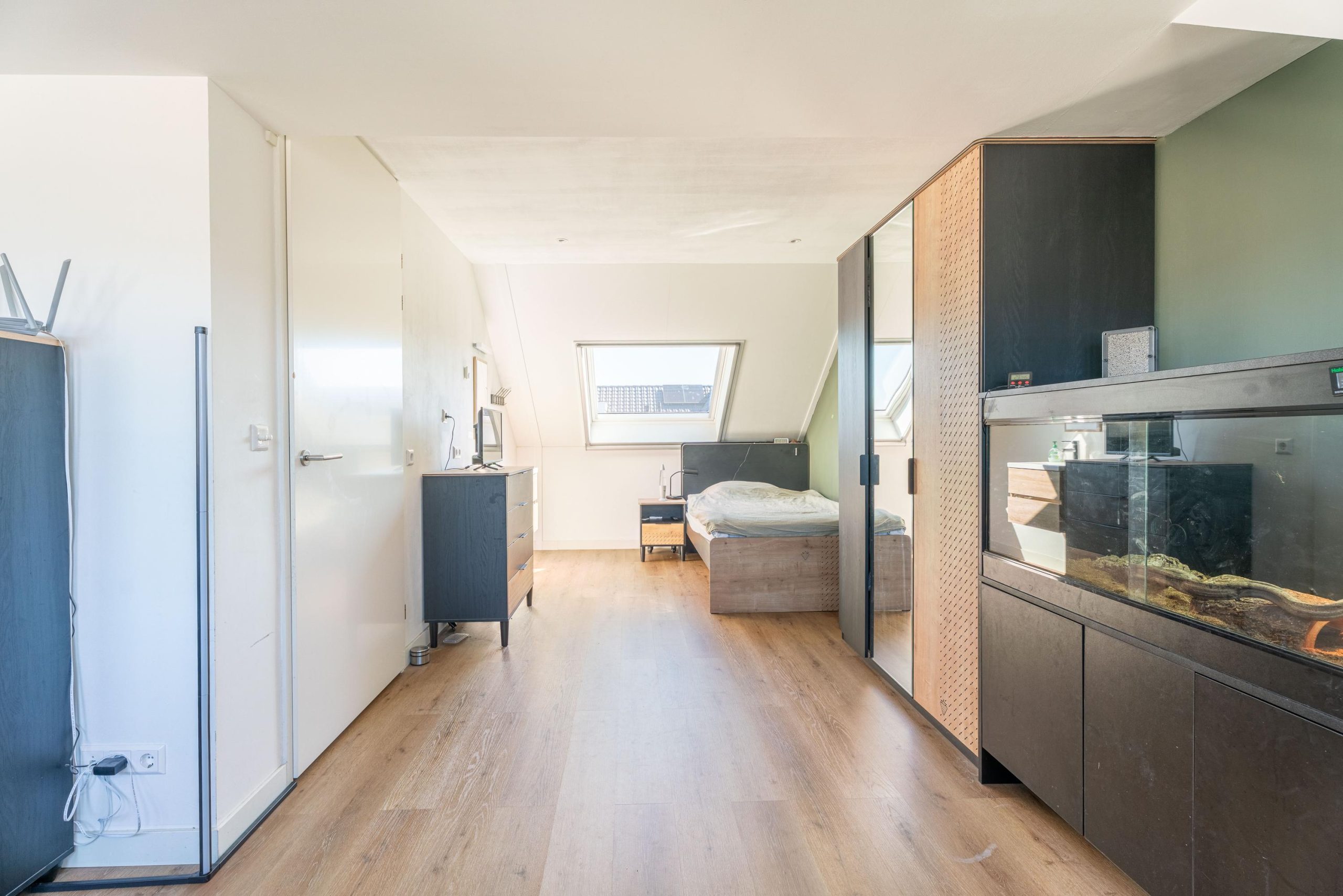 Voorhout – Narcis 52 Voorhout – Narcis 52