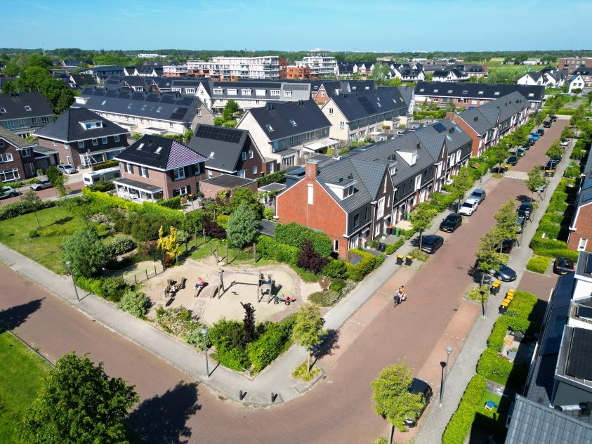 Voorhout – Narcis 52