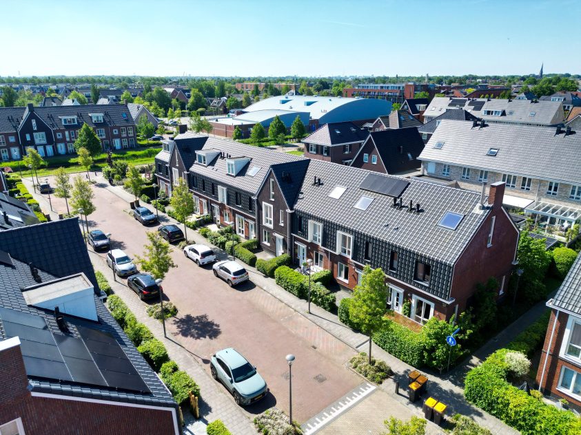 Voorhout – Narcis 52