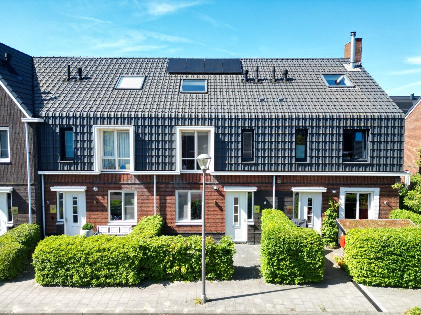 Voorhout – Narcis 52