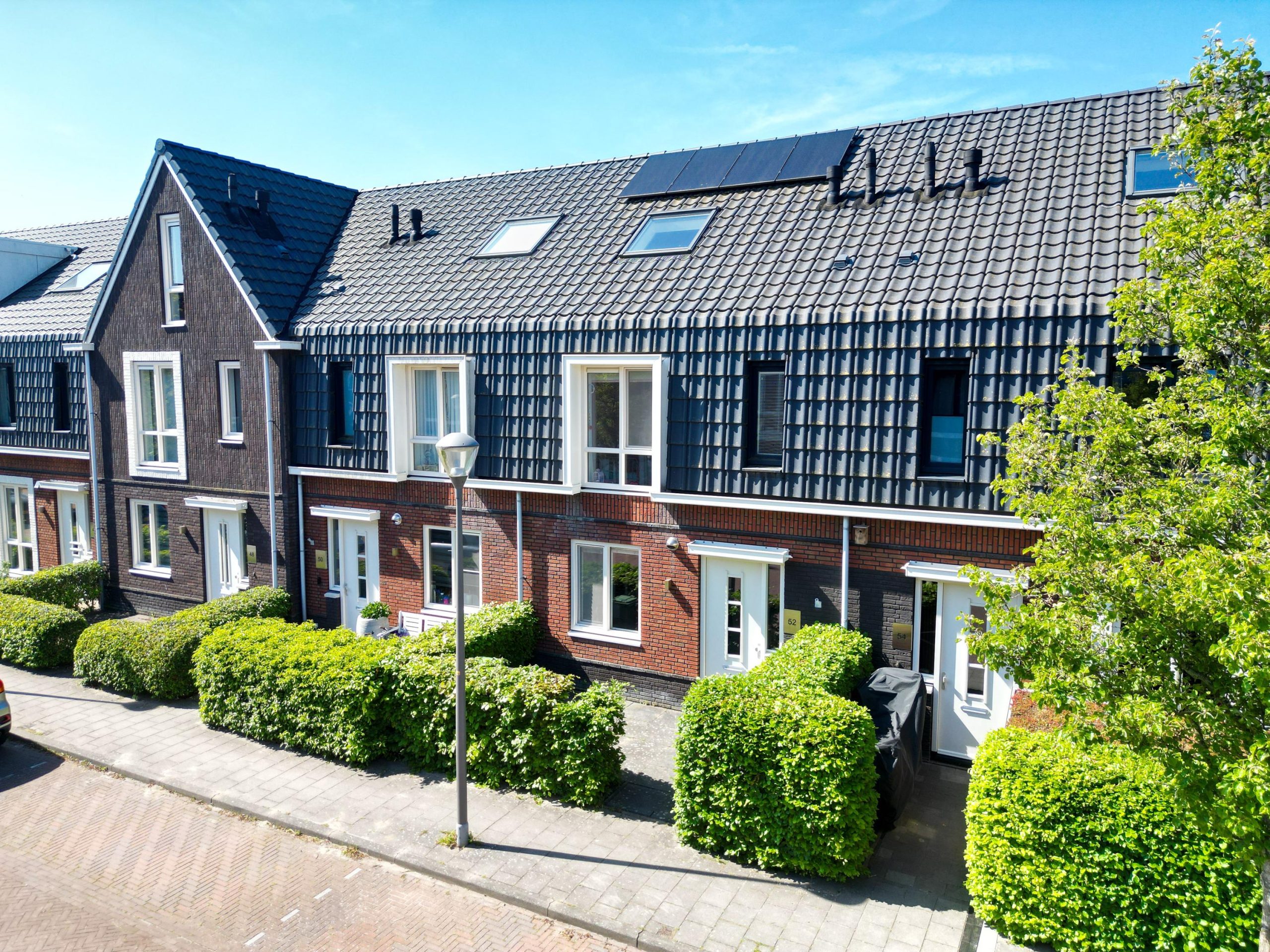 Voorhout – Narcis 52 Voorhout – Narcis 52