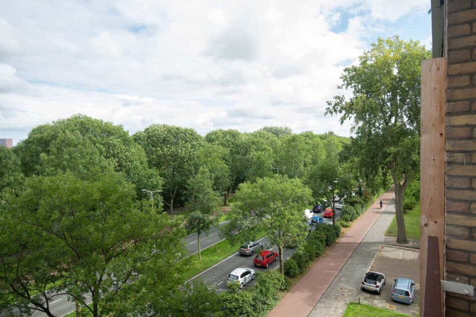 Leiden – Bachstraat 110