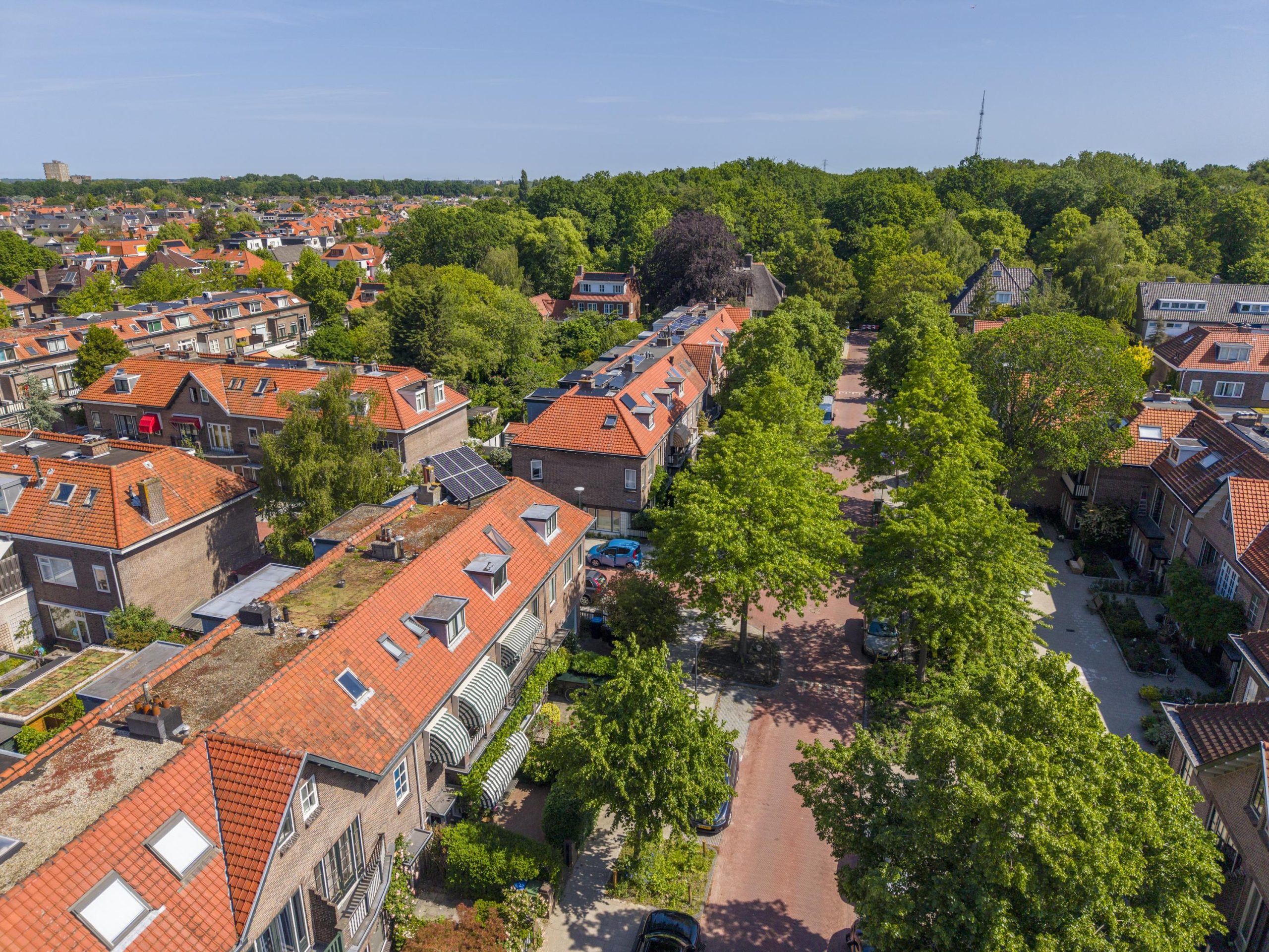 Leiden – Johan de Wittstraat 38 Leiden – Johan de Wittstraat 38