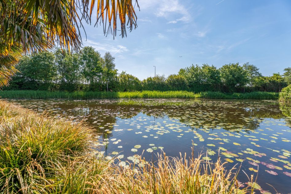 Voorhout – Snoeklaan 231