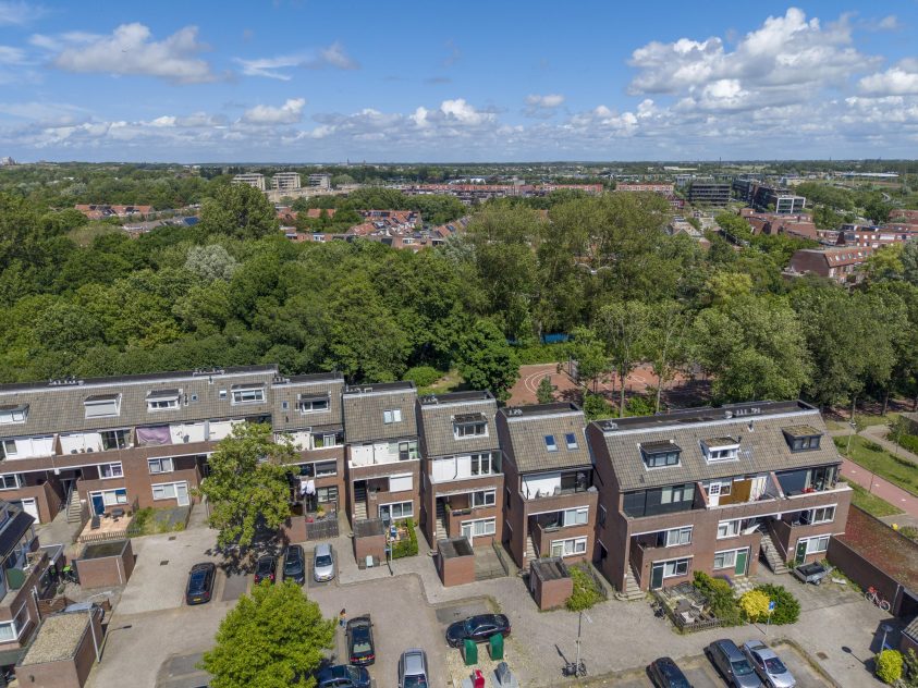 Katwijk – Pallas 31