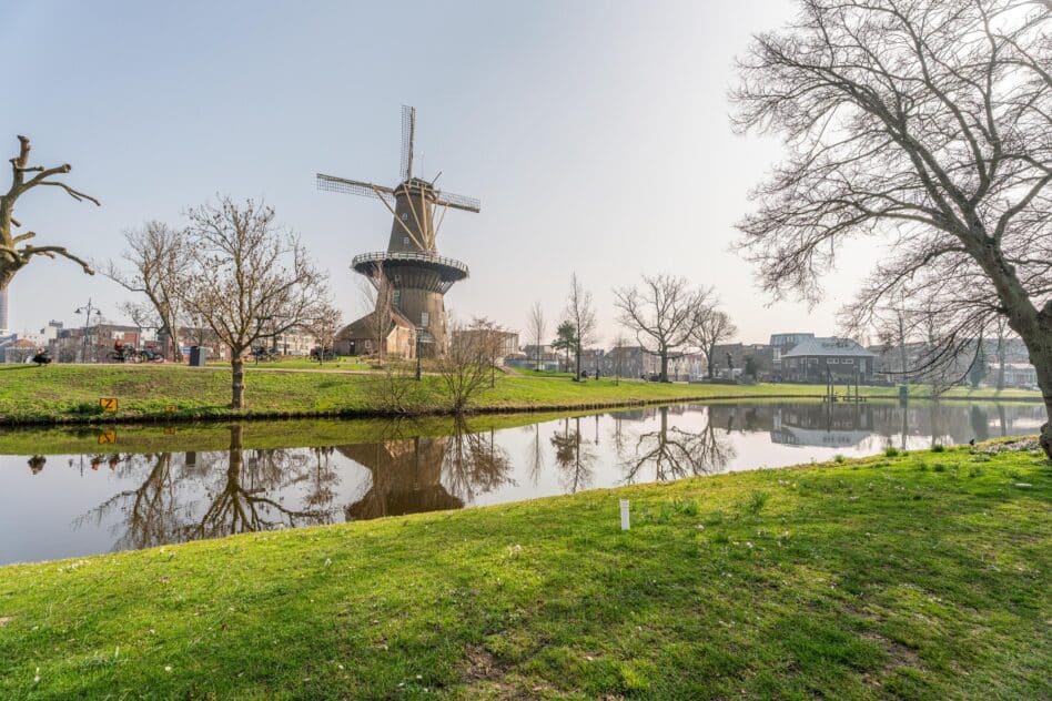 Leiden – Rijnsburgersingel 46