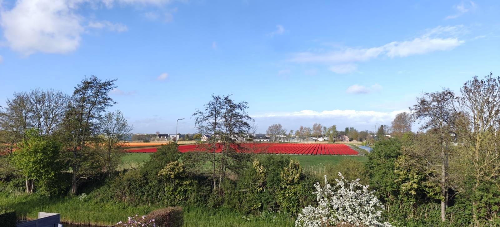 Voorhout – Snoeklaan 19 Voorhout – Snoeklaan 19