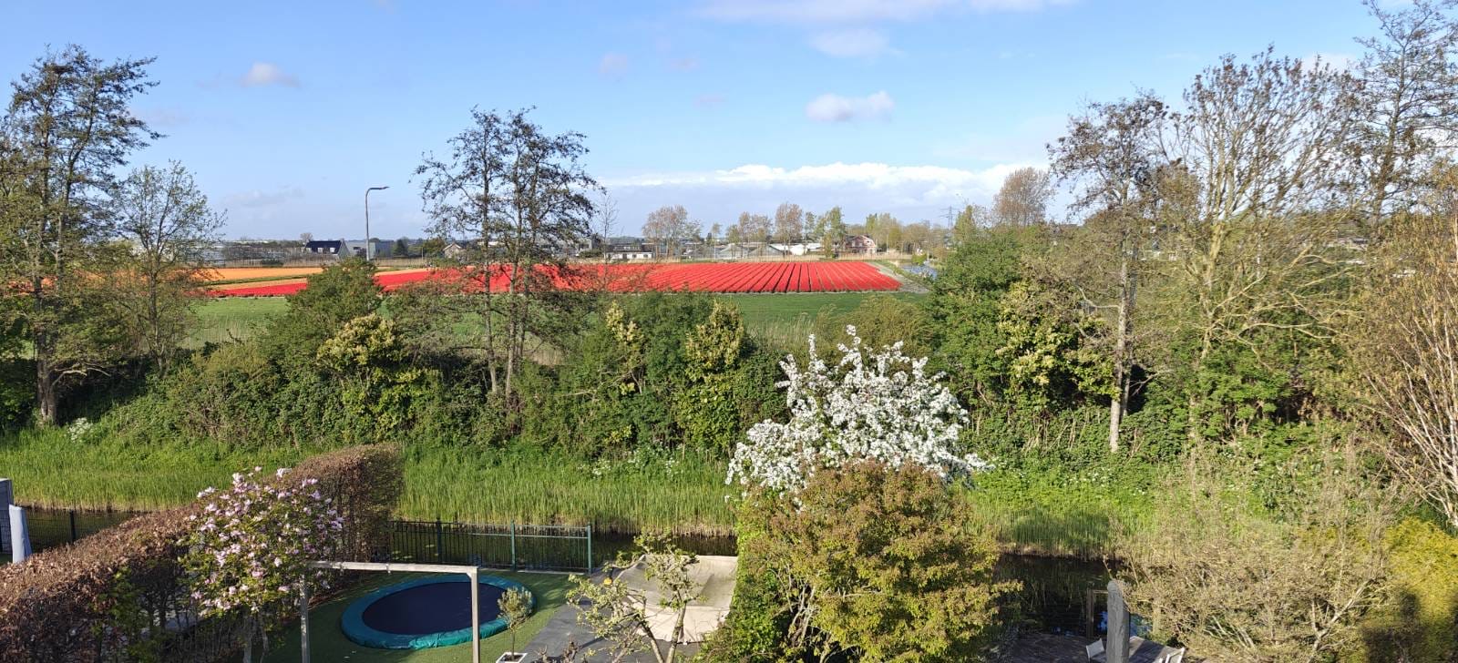 Voorhout – Snoeklaan 19 Voorhout – Snoeklaan 19