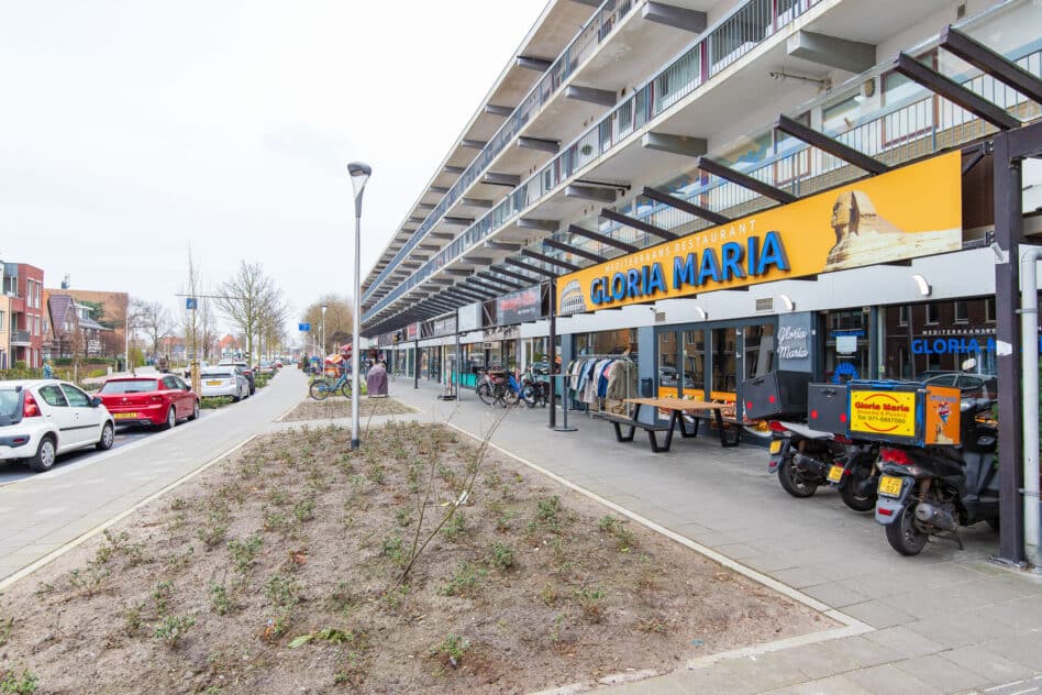 Rijnsburg – Oegstgeesterweg 74